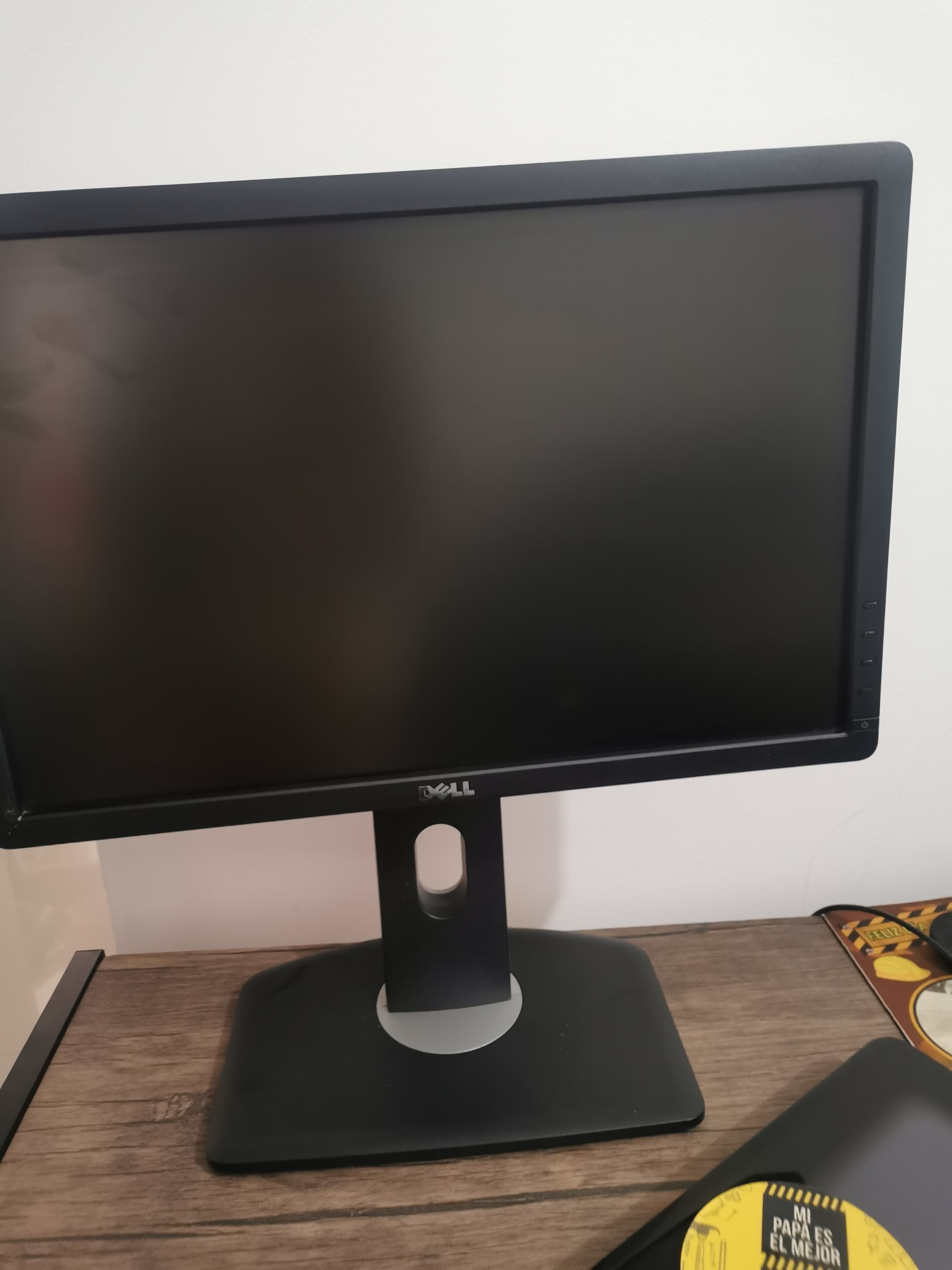 Pantalla Monitor 19